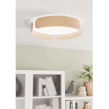 Eglo - LED Stropna svjetiljka LED/24W/230V