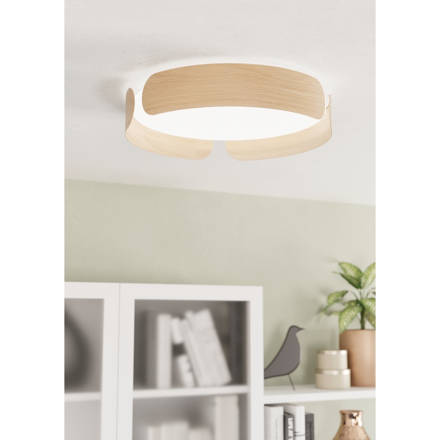 Eglo - LED Stropna svjetiljka LED/24W/230V