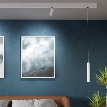 Eglo - LED Luster na sajli za tračni sustav 1xLED/9W/230V