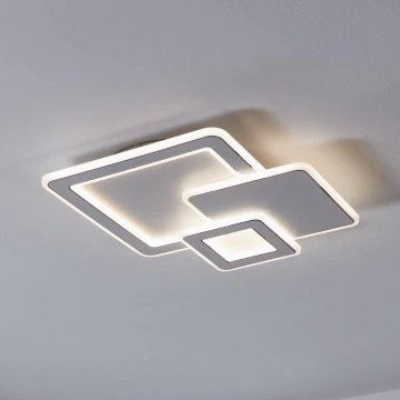 Eglo - LED Stropna svjetiljka 3xLED/12W/230V