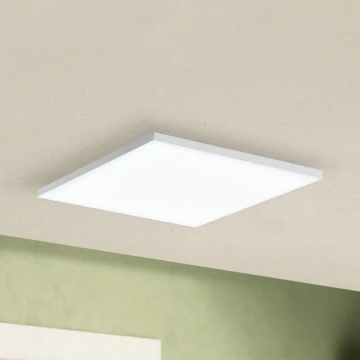 Eglo - LED Stropna svjetiljka LED/10,8W/230V