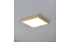 Eglo - LED Stropna svjetiljka LED/17W/230V