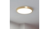 Eglo - LED Stropna svjetiljka LED/20,5W/230V pr. 28,5 cm
