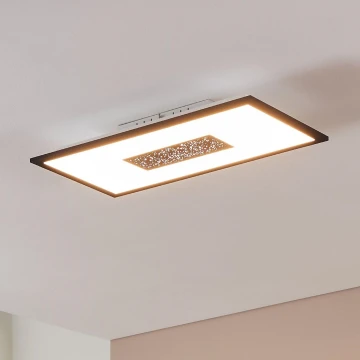 Eglo - LED Stropna svjetiljka LED/26W/230V