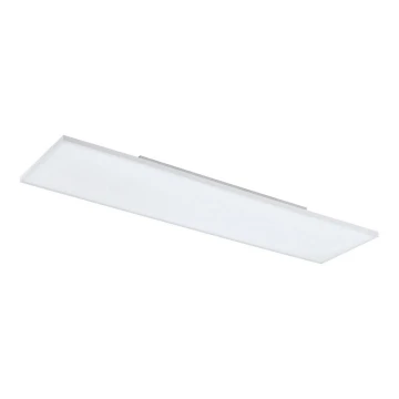 Eglo - LED Stropna svjetiljka LED/33W/230V