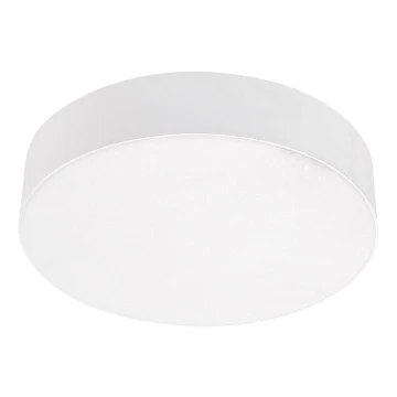 Emithor 63213 - LED Stropna svjetiljka SURFACE 1xLED/20W/230V okrugli