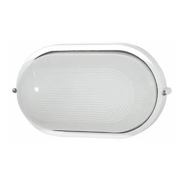 FARO 72002 - Vanjska zidna svjetiljka DERBY-G 1xE27/100W/230V IP44