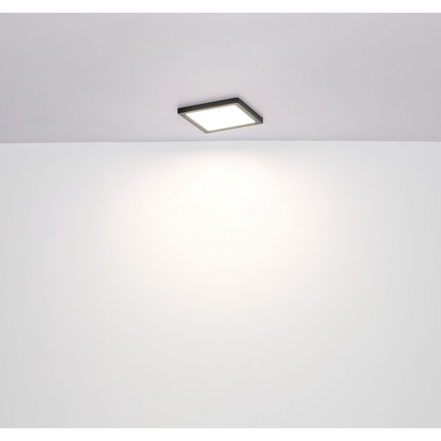 Globo - LED Stropna svjetiljka LED/18W/230V 3000/4000/6500K crna