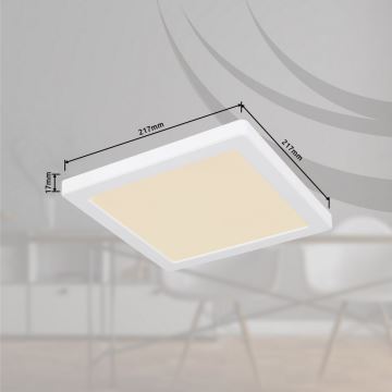Globo - LED Stropna svjetiljka LED/18W/230V 3000/4000/6500K bijela
