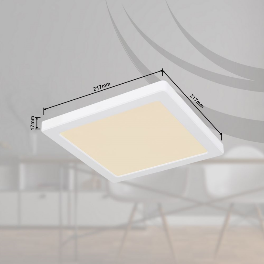 Globo - LED Stropna svjetiljka LED/18W/230V 3000/4000/6500K bijela