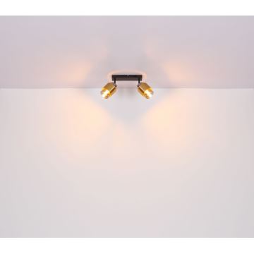 Globo - Reflektorska svjetiljka 2xE27/40W/230V crna/mesing