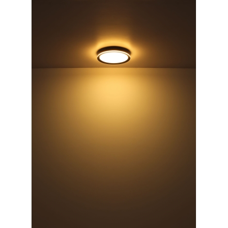 Globo - LED Stropna svjetiljka LED/39W/230V pr. 40 cm
