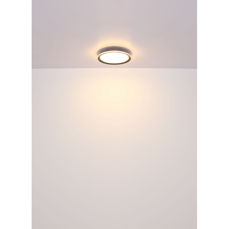 Globo - LED Stropna svjetiljka LED/39W/230V pr. 40 cm