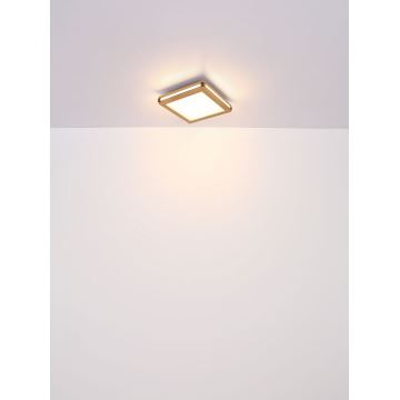 Globo - LED Stropna svjetiljka LED/12W/230V 30x30 cm