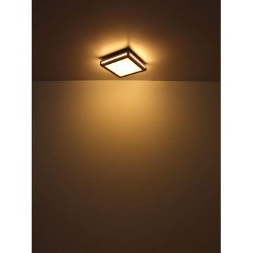 Globo - LED Stropna svjetiljka LED/24W/230V 45x45 cm