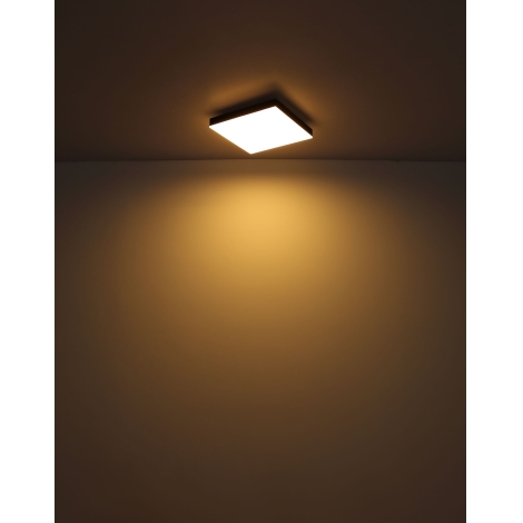 Globo - LED Stropna svjetiljka LED/18W/230V 30x30 cm crna