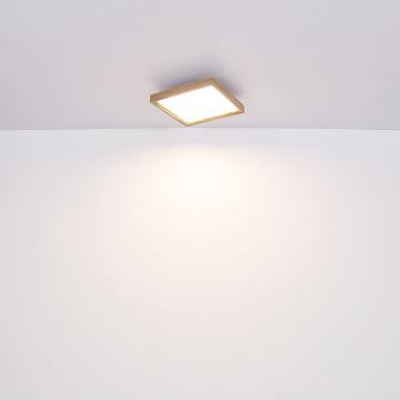 Globo - LED Stropna svjetiljka LED/12W/230V 30 cm 2700/4500/6500K