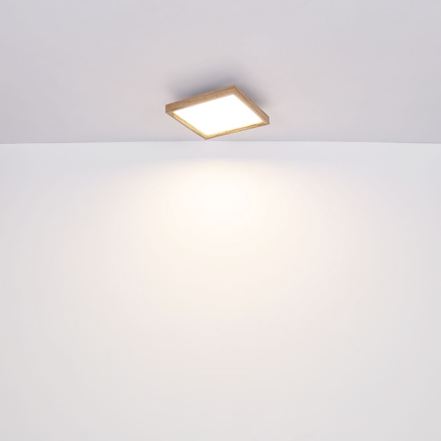 Globo - LED Stropna svjetiljka LED/12W/230V 30 cm 2700/4500/6500K