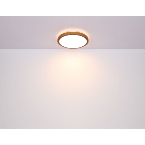 Globo - LED Stropna svjetiljka LED/24W/230V 3000/4500/6000K pr. 42 cm