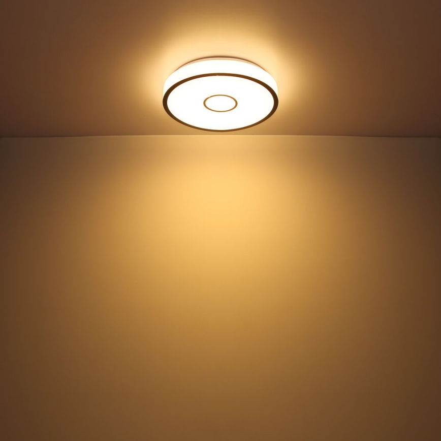 Globo - LED RGB Prigušiva svjetiljka za kupaonicu LED/40W/230V 2700-6500K IP44 Wi-Fi Tuya + daljinski upravljač