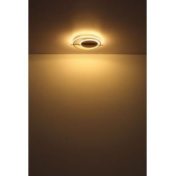 Globo - LED Stropna svjetiljka LED/36W/230V