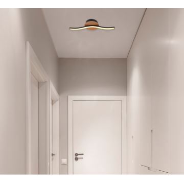 Globo - LED Stropna svjetiljka LED/6W/230V