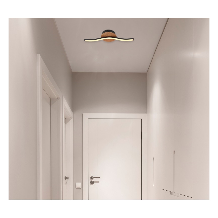 Globo - LED Stropna svjetiljka LED/6W/230V