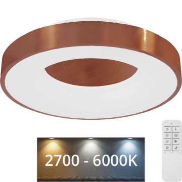 Globo - LED Prigušiva stropna svjetiljka LED/30W/230V 2700-6000K + daljinski upravljač