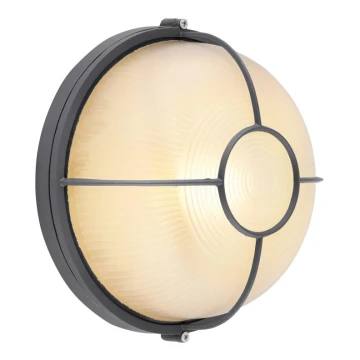 Globo - Vanjska zidna svjetiljka 1xE27/60W/230V IP44 pr. 25 cm