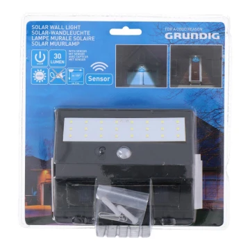 Grundig - LED Solarna svjetiljka sa senzorom 1xLED/0,25W/1xAA