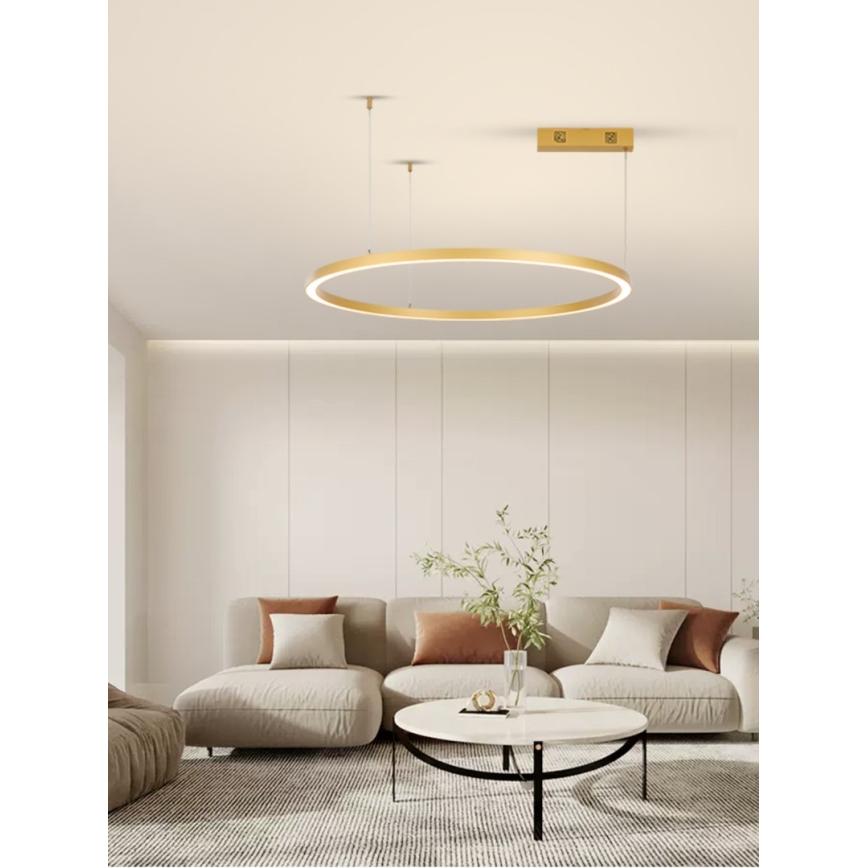 Immax NEO 07217L - LED Prigušivi luster na sajli FINO LED/60W/230V 80 cm zlatna Tuya + daljinski upravljač