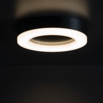 LED Vanjska stropna svjetiljka TURA LED/24W/230V 4000K IP54 crna