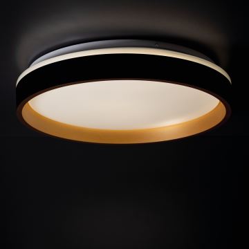 LED Stropna svjetiljka SOLN LED/17,5W/230V pr. 38 cm crna/zlatna