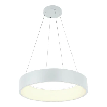 LED Luster na sajli LED/30W/230V 4000K pr. 45 cm bijela