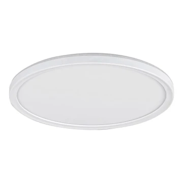 LED Prigušiva stropna svjetiljka PAVEL LED/22W/230V