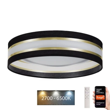 LED Prigušiva stropna svjetiljka SMART CORAL LED/24W/230V Wi-Fi Tuya crna + daljinski upravljač