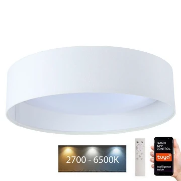 LED Prigušiva svjetiljka SMART GALAXY LED/36W/230V pr. 55 cm Wi-Fi Tuya + daljinski upravljač