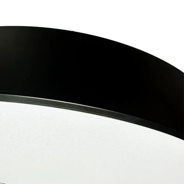 LED Prigušivi luster na sajli LED/50W/230V 3000-6500K crna + daljinski upravljač