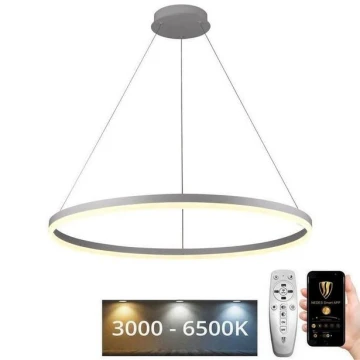 LED Prigušivi luster na sajli LED/55W/230V 3000-6500K + daljinski upravljač