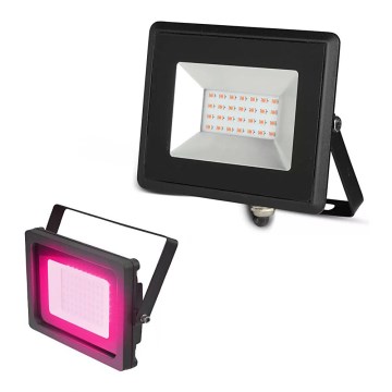 LED Reflektor LED/20W/230V IP65 ružičasto svjetlo