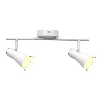 LED Reflektorska svjetiljka BERG 2xLED/4,2W/230V bijela