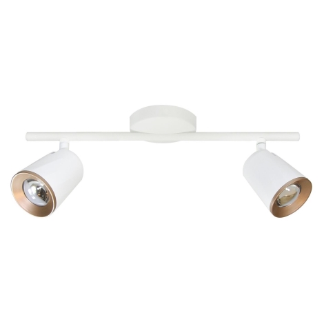LED Reflektorska svjetiljka FICUDI 2xLED/6W/230V
