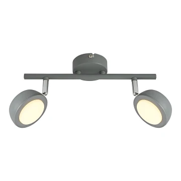 LED Reflektorska svjetiljka MILD 2xLED/6W/230V siva