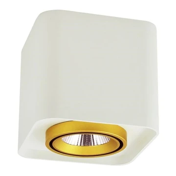 LED Reflektorska svjetiljka XENO LED/15W/230V bijela 1200lm