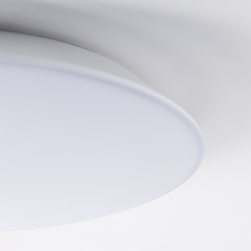 LED Stropna svjetiljka AVESTA LED/12W/230V 4000K IP54