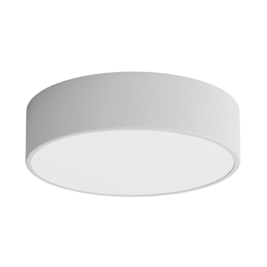 LED Stropna svjetiljka CLEO LED/24W/230V 3000K pr. 30 cm siva