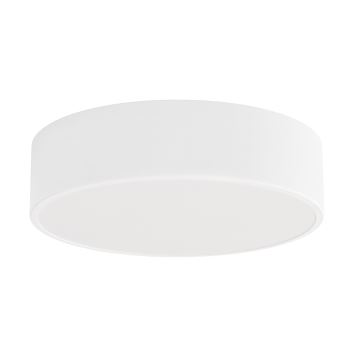 LED Stropna svjetiljka CLEO LED/24W/230V 4000K pr. 30 cm bijela