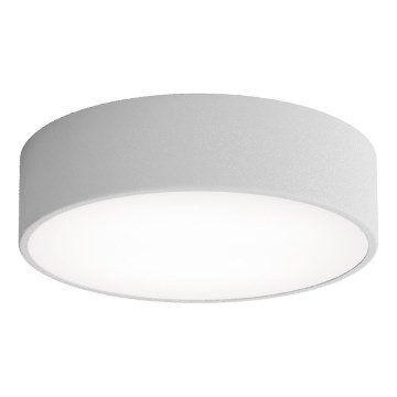 LED Stropna svjetiljka CLEO LED/24W/230V 4000K pr. 30 cm siva