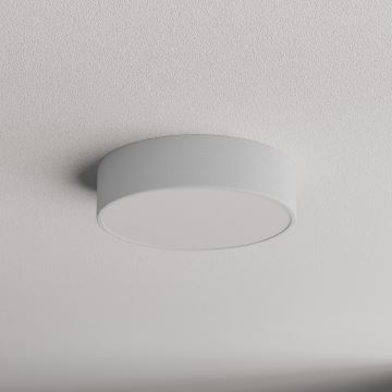 LED Stropna svjetiljka CLEO LED/24W/230V 4000K pr. 30 cm siva