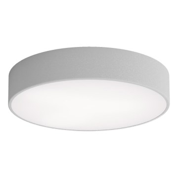 LED Stropna svjetiljka CLEO LED/43W/230V 4000K pr. 40 cm siva